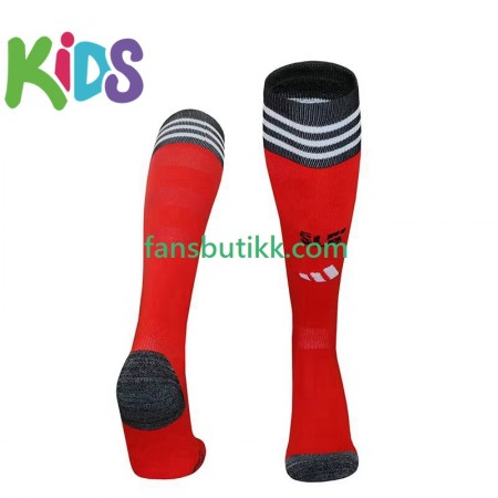 Benfica Barn Hjemme Strømpe 2025-2026